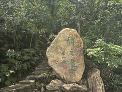 -江心屿景区