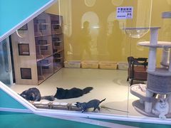 -百荣世贸商城