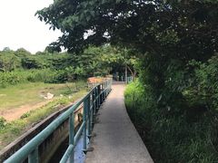 -南丫岛