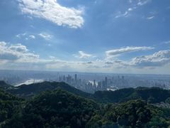 -大金鹰园