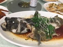 清蒸青斑-唐人轩(中山四路店)