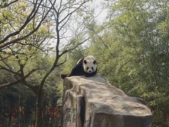 -宁波野生动物园