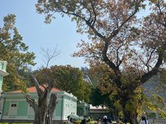 -龙环葡韵住宅式博物馆