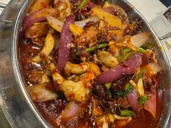 爆炒香辣鱿鱼-凤凰路何眼镜香辣蟹(花果园店)