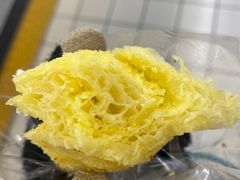 -蒲公英(五里店)