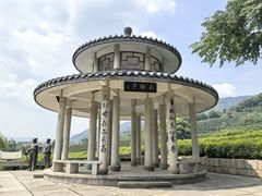 -龙坞茶村