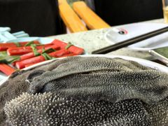 -二荆条·蜀鲜汇城市森林火锅