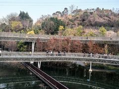 -福道