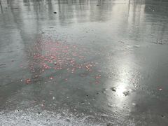 -蓝地时尚庄园(北京清河营地铁站店)