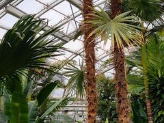 -北京植物园-展览温室