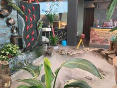 -大锅小灶·渔+村