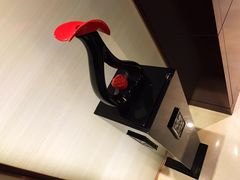 -常州武进九洲喜来登酒店