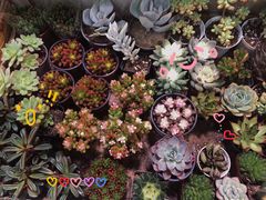 -三旗百汇商品城