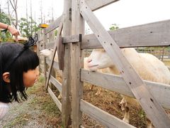 -前小桔亲子创意农场·草莓采摘·露营烧烤