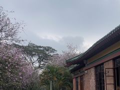 -华农酸奶文化馆