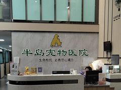 -半岛宠物医院24小时(科华中路店)