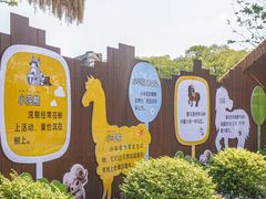 -武汉动物园
