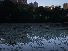 -龙头寺公园