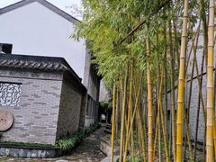 -龙潭水乡
