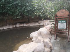 -龙达温泉生态城