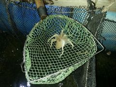 android_upload_pic-海上驿站渔家菜馆