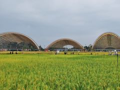 -中国天府农业博览园