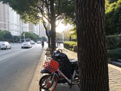 -证大大拇指广场(芳甸路店)