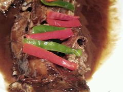 android_upload_pic-湖庭壹品鸭王·传统北京烤鸭·别墅私房菜·庭院宵夜(江宁店)