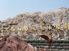 -北京西山国家森林公园