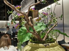 -新辣道鱼火锅(航天万源店)