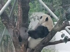 -无锡动物园·太湖欢乐园