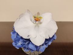 -羿庭(外滩华尔道夫酒店)