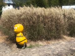 -宁波浙东大竹海景区