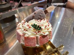 -朱光玉火锅馆(正弘城店)