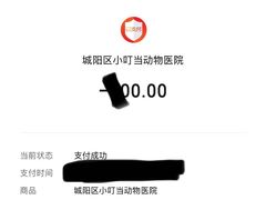 -小叮当动物医院·骨科·眼科