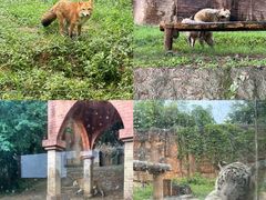 -杭州野生动物世界