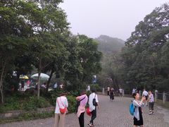 -紫金山山顶公园