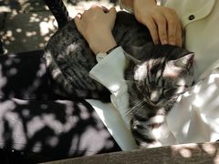 -喵屿·大理花园猫咖