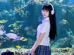 -华夏文旅海洋公园