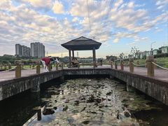 -那考河湿地公园