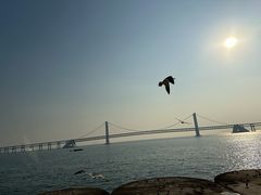 -星海广场