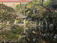 -叶家花园