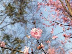 -重庆彩云湖湿地公园