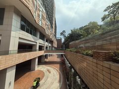 -香港大学