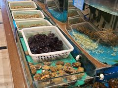 水产区-蓝港海鲜厨房(金水路店)