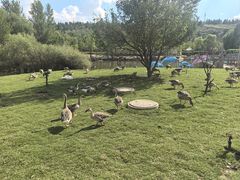 -鄂尔多斯野生动物园