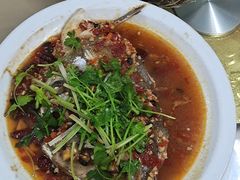 -柳周农家菜特色老店沙田柚美食(东大街店)