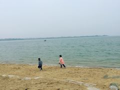 -瑶湖郊野森林公园