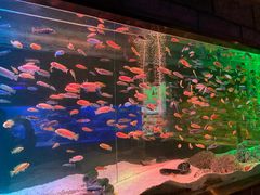 -zoonana室内动物园(东方福来德店)