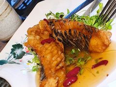 -致明德素食餐厅(土屋路店)